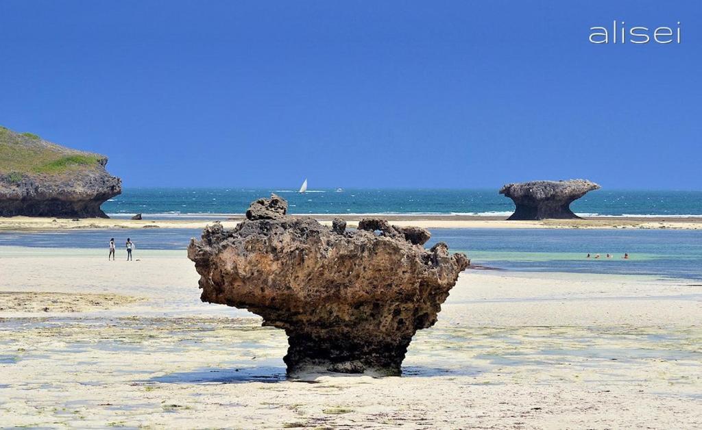 واتامو Ghelli House - Milele Resort المظهر الخارجي الصورة